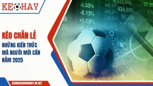 Kèo chẵn lẻ là gì
