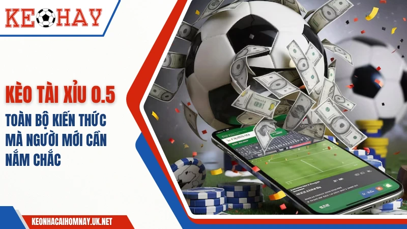 Tài xỉu 0.5 – Toàn Bộ Kiến Thức Mà Người Mới Cần Nắm Chắc